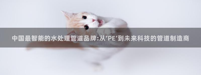 南京天辰娱乐