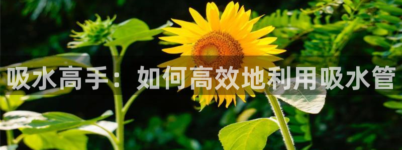 天辰娱乐 主管