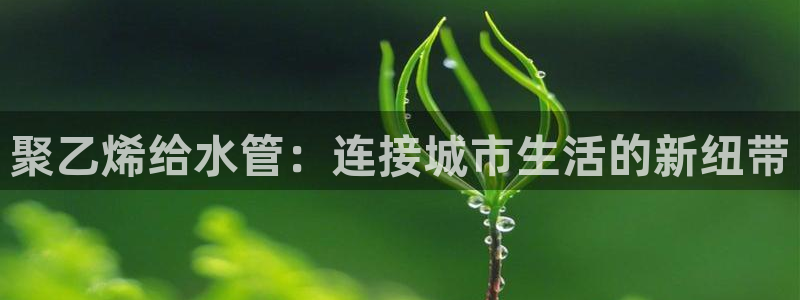 天富娱乐天辰娱乐