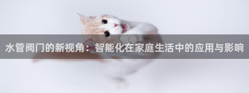 天辰娱乐股东
