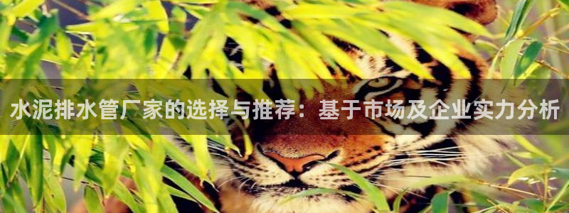 天辰娱乐跑的快