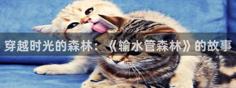 天辰娱乐链接