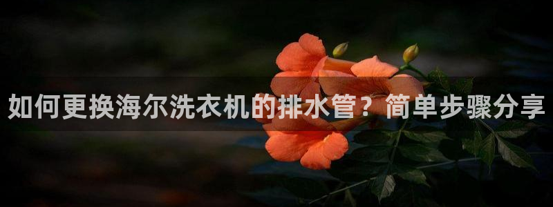 天辰娱乐会所