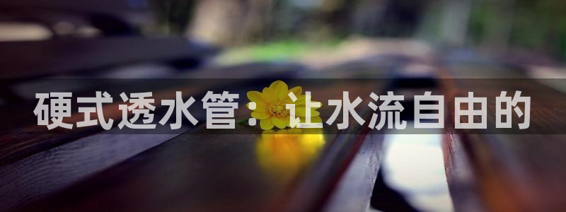 天辰娱乐 首选