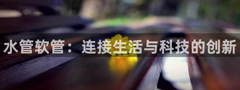 天辰娱乐84566
