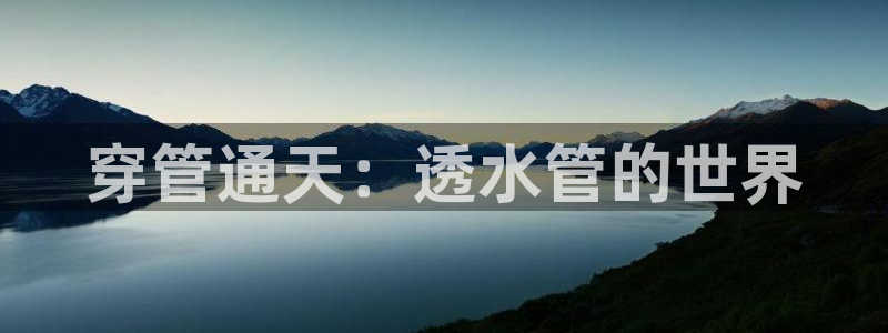 天辰娱乐1996