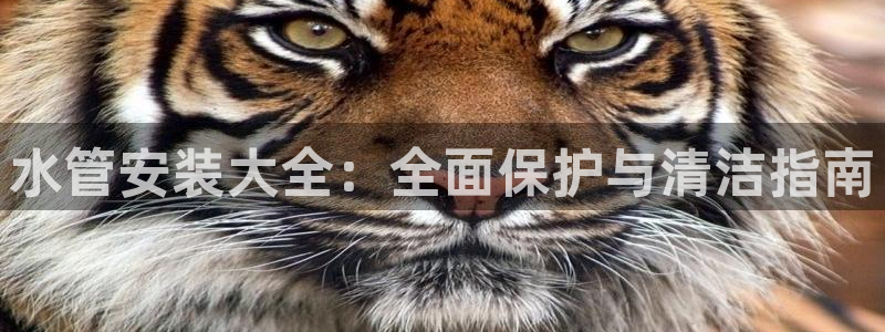 天辰娱乐维护