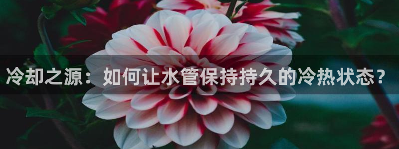 天辰娱乐75775