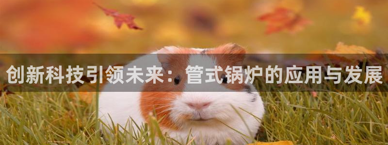 天辰娱乐元宝
