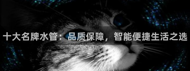 天辰娱乐官方