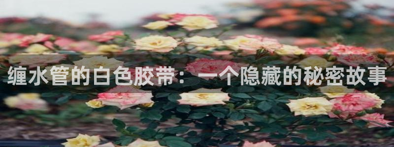 手机上怎么下载天辰娱乐