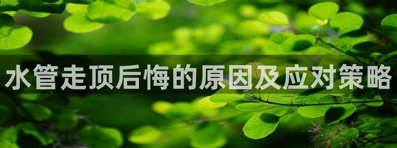 天辰娱乐会员