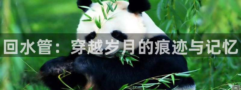 天辰天富娱乐登录