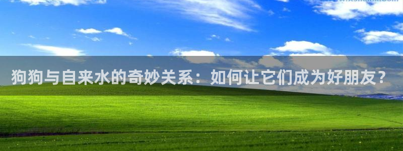 天辰娱乐彩票