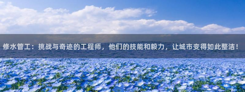 天辰娱乐天辰宝