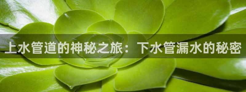 天辰在线娱乐