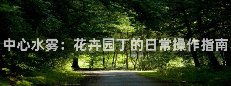 天辰娱乐1980