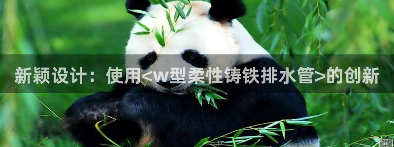 天辰娱乐51137