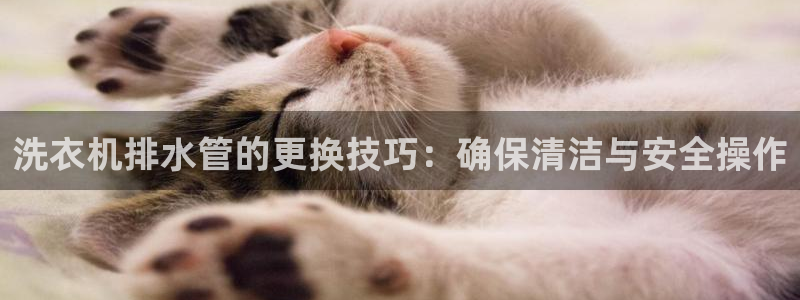 天辰国际娱乐