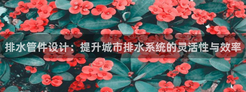 辰天娱乐