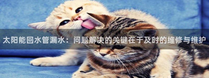 天辰宝宝娱乐