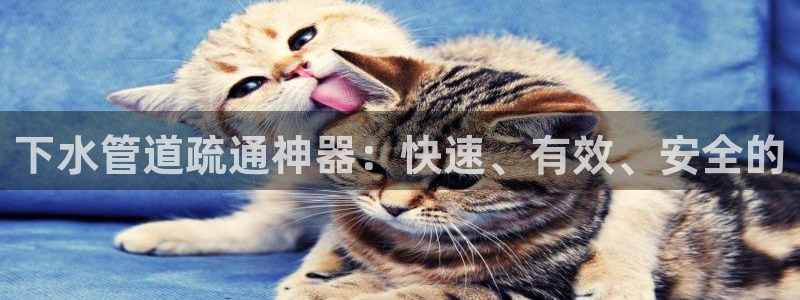 天辰娱乐文案