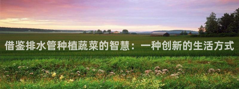 天辰娱乐服务