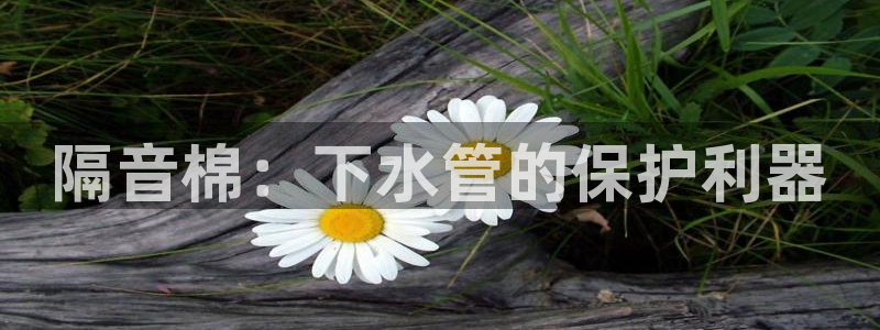 大同天辰娱乐
