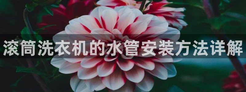 天辰娱乐84566