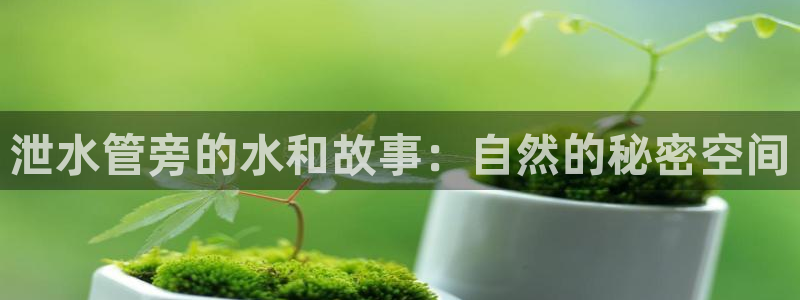 天辰娱乐文案