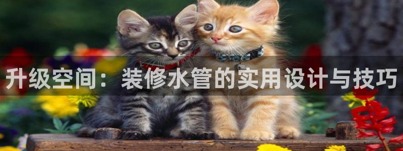 天辰娱乐官方登录下载