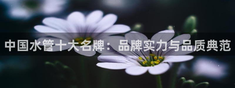 天辰娱乐481928