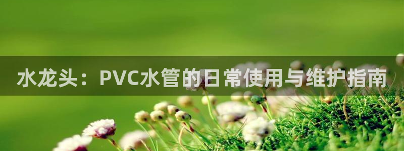 天辰宝娱乐