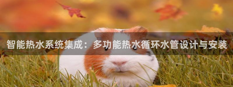 天辰娱乐跑的快
