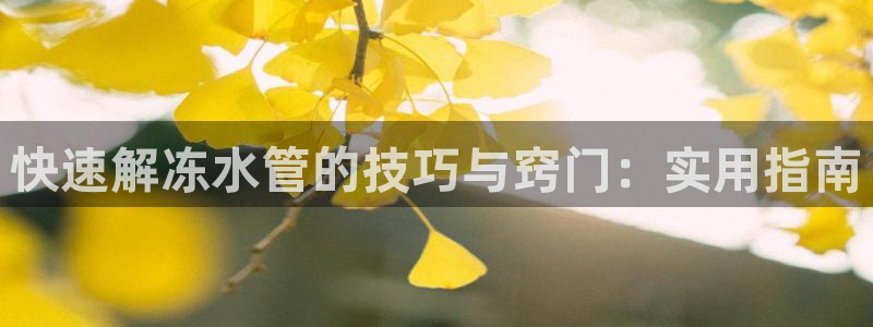 天辰娱乐黑人