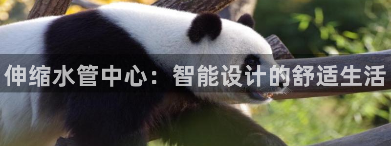 天辰娱乐输了