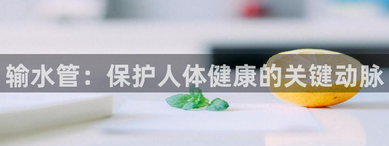 天辰娱乐视频