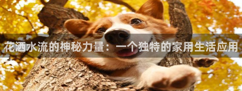 天辰臣娱乐