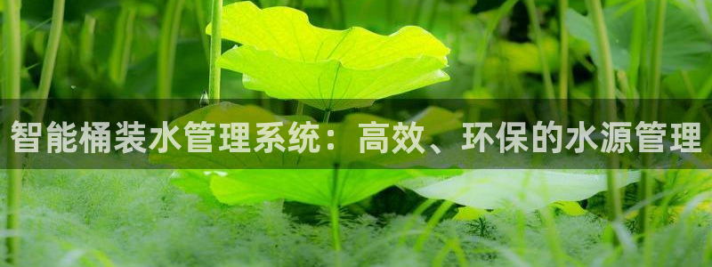 大同天辰娱乐