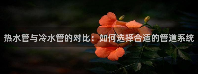 哈尔滨天辰娱乐