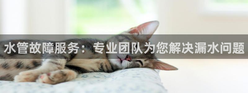 天辰娱乐开户
