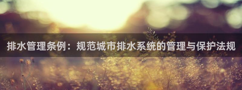 天辰娱乐平台