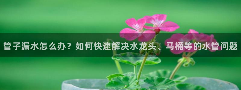 天辰娱乐app