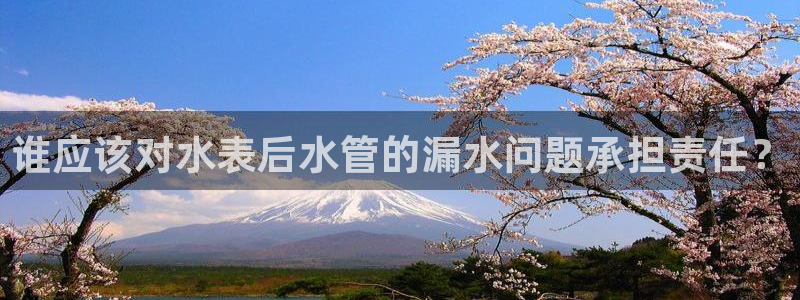 天辰娱乐的网址首页