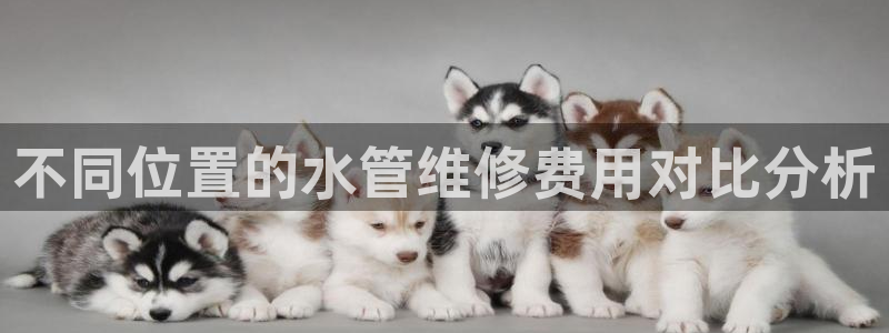 天辰娱乐 849852